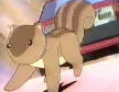 eichhrnchen maru-chan!!!!